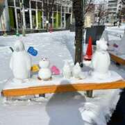 ヒメ日記 2026/02/14 06:31 投稿 染谷りほ MADAM