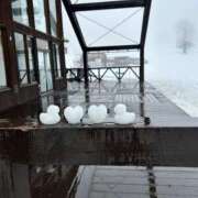 染谷りほ 到着ヾ(＠⌒ー⌒＠)ノ MADAM