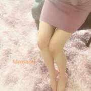 ヒメ日記 2026/03/18 12:16 投稿 高岡まなみ 華椿