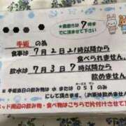 ヒメ日記 2026/07/06 10:16 投稿 岡野ひろこ MADAM
