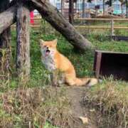 ヒメ日記 2026/03/26 12:01 投稿 竹中ほずみ MADAM