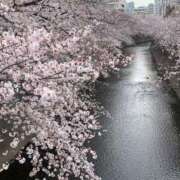 ヒメ日記 2026/03/29 11:31 投稿 竹中ほずみ MADAM