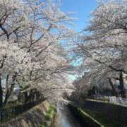 ヒメ日記 2026/04/03 18:32 投稿 竹中ほずみ MADAM