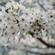 竹中ほずみ ??いいお天気?? MADAM