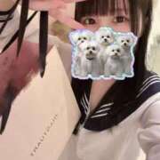 ヒメ日記 2026/02/12 20:16 投稿 もえ CUTE