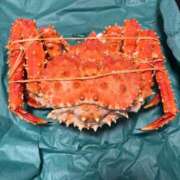 ヒメ日記 2025/12/31 12:16 投稿 桜井かのん MADAM