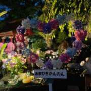 ヒメ日記 2026/06/26 22:01 投稿 桜井かのん MADAM