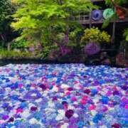 ヒメ日記 2026/08/05 21:46 投稿 桜井かのん MADAM