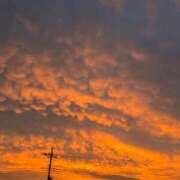 ヒメ日記 2026/08/12 16:16 投稿 桜井かのん MADAM