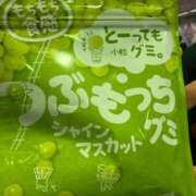 ヒメ日記 2026/09/14 09:16 投稿 桜井かのん MADAM