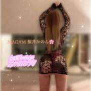 ヒメ日記 2026/10/17 08:46 投稿 桜井かのん MADAM