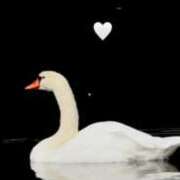 ヒメ日記 2025/12/25 13:31 投稿 二宮あずさ MADAM