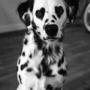 ヒメ日記 2026/01/07 13:01 投稿 二宮あずさ MADAM