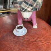 ヒメ日記 2026/01/22 18:01 投稿 二宮あずさ MADAM