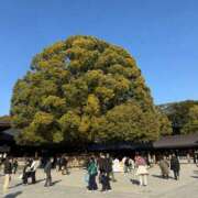 ヒメ日記 2026/02/12 16:16 投稿 二宮あずさ MADAM