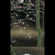 ヒメ日記 2026/03/23 15:31 投稿 二宮あずさ MADAM
