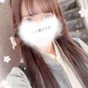 ヒメ日記 2026/03/28 08:16 投稿 一ノ瀬えりか 華椿