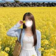 ヒメ日記 2026/05/30 08:16 投稿 一ノ瀬えりか 華椿