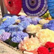 ヒメ日記 2026/09/07 07:16 投稿 一ノ瀬えりか 華椿