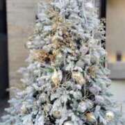 ヒメ日記 2025/12/18 01:31 投稿 菅野みずほ MADAM