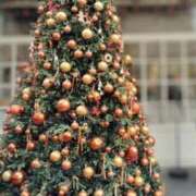 ヒメ日記 2025/12/27 23:31 投稿 菅野みずほ MADAM