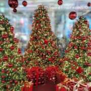 ヒメ日記 2025/12/30 23:16 投稿 菅野みずほ MADAM