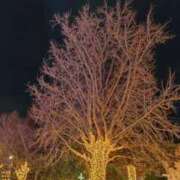 ヒメ日記 2026/01/21 23:16 投稿 菅野みずほ MADAM