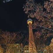 ヒメ日記 2026/01/24 22:46 投稿 菅野みずほ MADAM