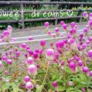 ヒメ日記 2026/02/11 23:16 投稿 菅野みずほ MADAM