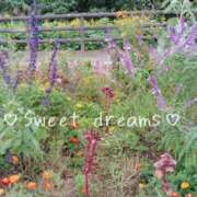 ヒメ日記 2026/02/14 23:31 投稿 菅野みずほ MADAM