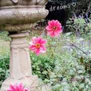 ヒメ日記 2026/02/18 23:31 投稿 菅野みずほ MADAM