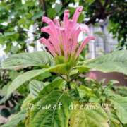 ヒメ日記 2026/02/21 23:16 投稿 菅野みずほ MADAM