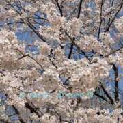 ヒメ日記 2026/03/28 23:16 投稿 菅野みずほ MADAM