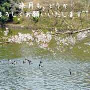 ヒメ日記 2026/03/29 22:01 投稿 菅野みずほ MADAM