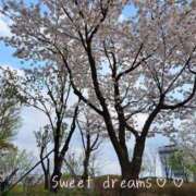 ヒメ日記 2026/04/11 23:16 投稿 菅野みずほ MADAM