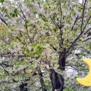 ヒメ日記 2026/04/14 23:01 投稿 菅野みずほ MADAM