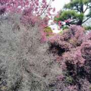ヒメ日記 2026/04/18 23:31 投稿 菅野みずほ MADAM