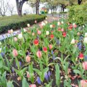 ヒメ日記 2026/04/21 22:46 投稿 菅野みずほ MADAM