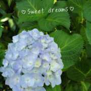 ヒメ日記 2026/06/13 23:16 投稿 菅野みずほ MADAM