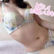 ヒメ日記 2026/07/08 11:01 投稿 菅野みずほ MADAM