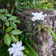 ヒメ日記 2026/07/11 23:46 投稿 菅野みずほ MADAM