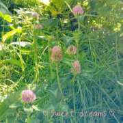 ヒメ日記 2026/08/16 00:01 投稿 菅野みずほ MADAM