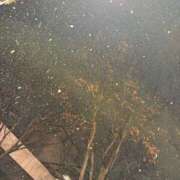 ヒメ日記 2026/01/02 23:01 投稿 杉野まい MADAM