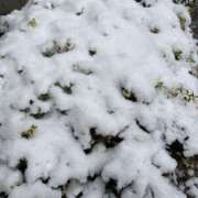 ヒメ日記 2026/02/08 15:46 投稿 杉野まい MADAM