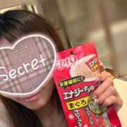 杉野まい ちゅ〜る? MADAM