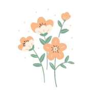 野崎やよい 退勤しました? MADAM