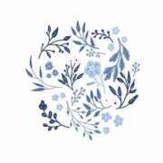 ヒメ日記 2025/12/28 00:01 投稿 野崎やよい MADAM