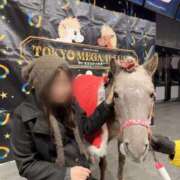 ヒメ日記 2026/01/01 00:16 投稿 目黒あいな MADAM