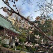 目黒あいな 次回は明日14時から? MADAM