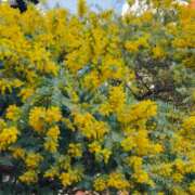 ヒメ日記 2026/03/07 12:16 投稿 目黒あいな MADAM